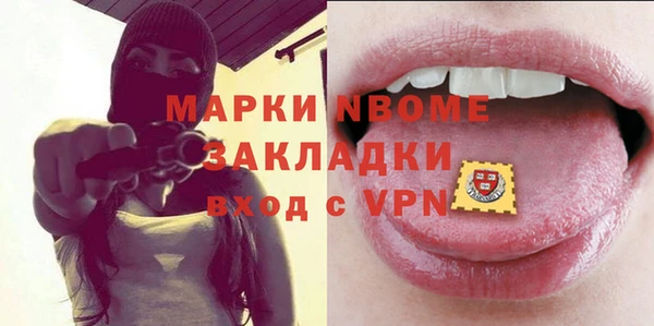 стаф Алзамай