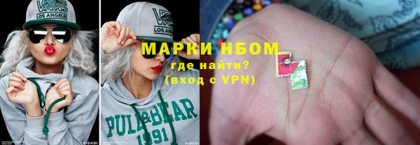 мдпв Ельня