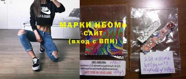 стаф Алзамай