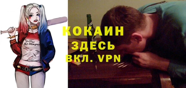 стаф Алзамай
