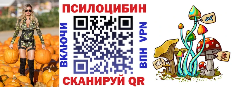 дарнет шоп  Дюртюли  Псилоцибиновые грибы Psilocybe 